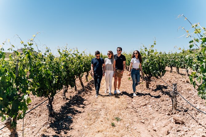 From Malaga: Ronda, Wine & Olive Oil Tasting Premium Small Group - Ronda’s First Impressions: Old Town Walk and Puente Nuevo