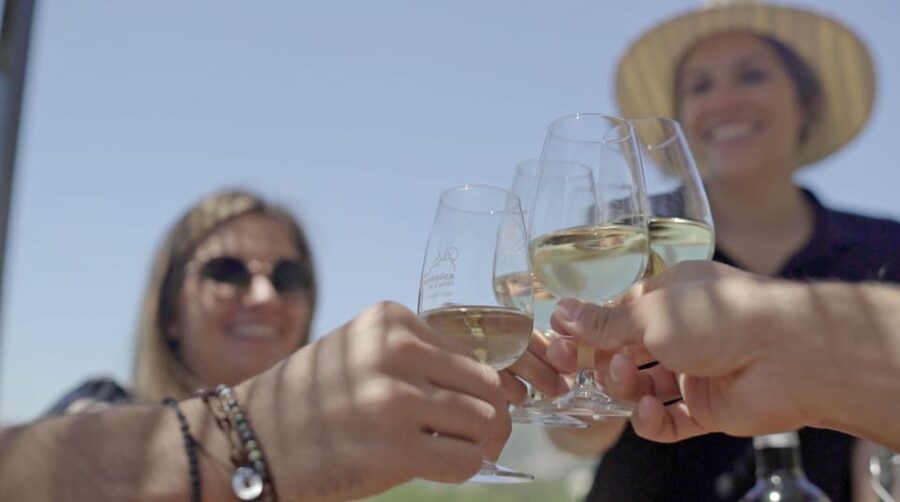 From Málaga: Ronda, Wine & Olive Oil Tasting Small Group - Key highlights you’ll care about