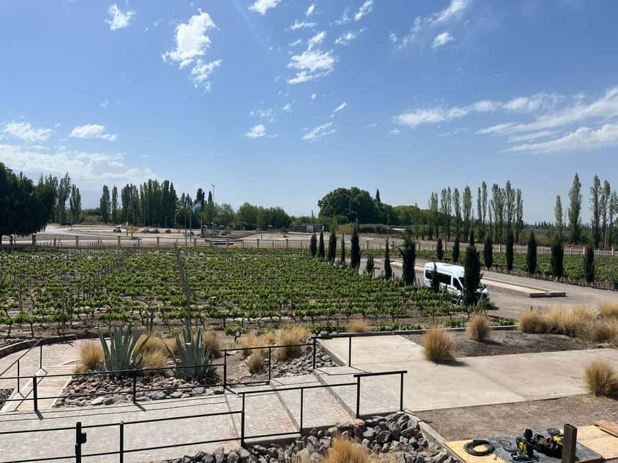 From Mendoza: 3 Wineries, Olive Oil Factory Tour & Tasting - Inside the 3 winery loop: artisanal, industrial, and sweet cellars