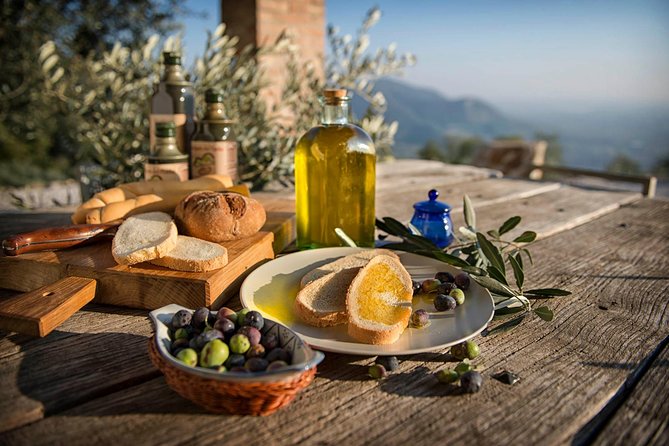 From Padua: Olive Oil & Wine in the Euganean Hills - Key points before you go