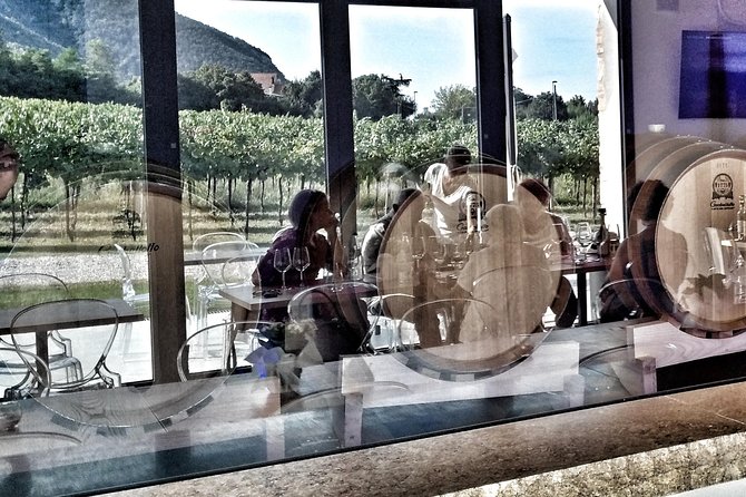 From Padua: Olive Oil & Wine in the Euganean Hills - Euganean Hills Tastings From Padua: What This 4 Hours Feels Like