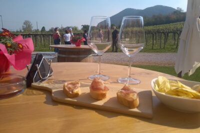 From Padua: Olive Oil & Wine in the Euganean Hills - Your First Stop at Cantina Colli Euganei: Wine Tastings With Context
