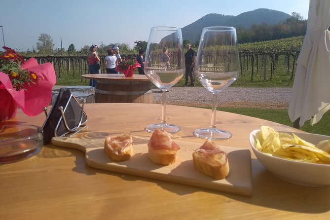 From Padua: Olive Oil & Wine in the Euganean Hills - Your First Stop at Cantina Colli Euganei: Wine Tastings With Context