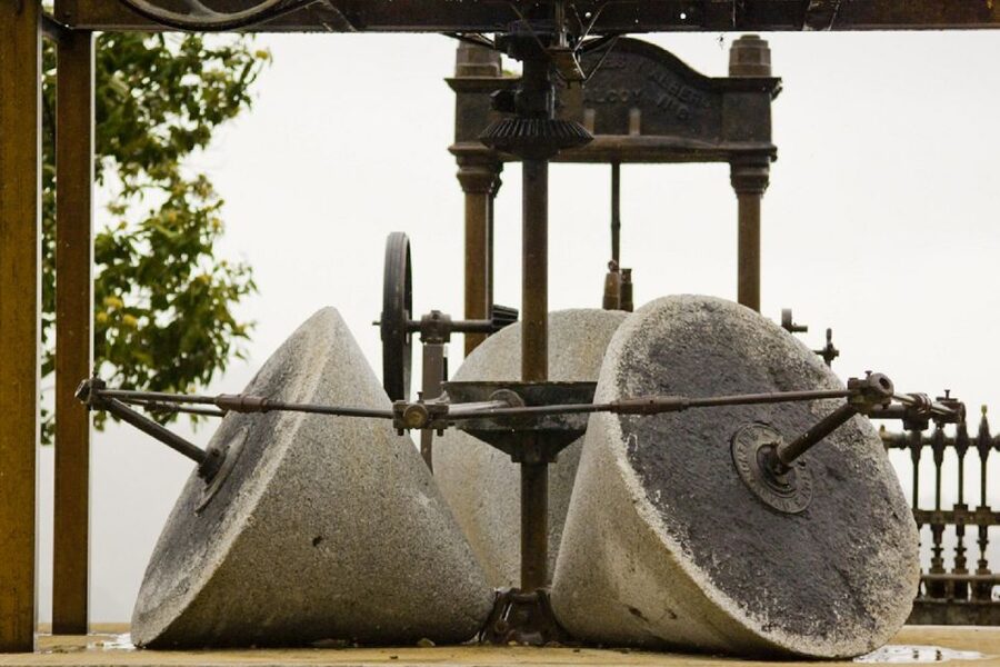 From Seville: Olive Oil Farm Tour - Why This Seville Olive Oil Farm Tour Feels More Real