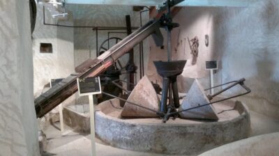 From Seville: Olive Oil Farm Tour - The Countryside Drive and Olive Orchard Walk