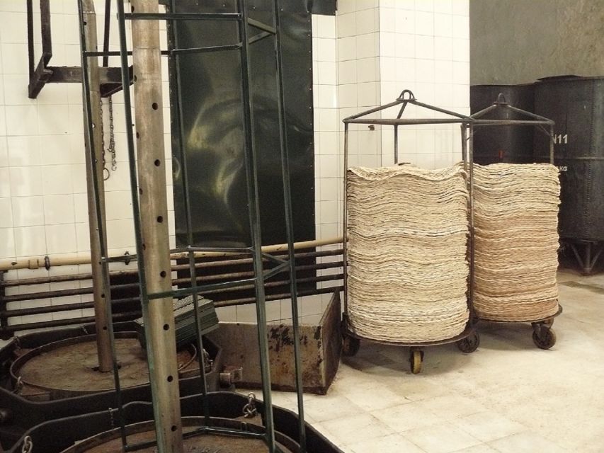 From Seville: Olive Oil Farm Tour - Olive Oil Tastings: Sweet, Bitter, Spicy (and How to Use It)