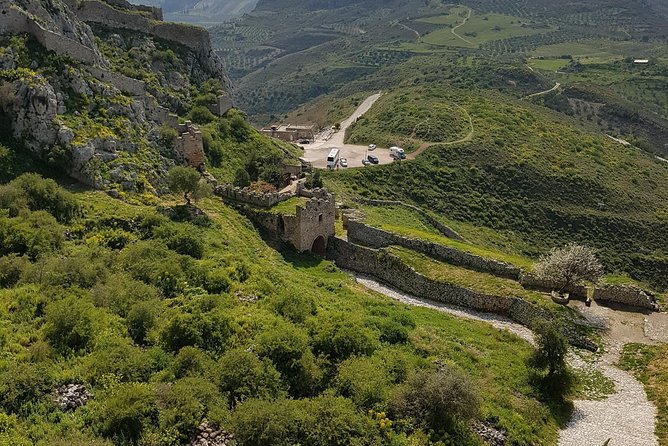 Full day tour Ancient Corinth with wine or olive oil tasting - Nemea time: the wine and olive context that makes tasting hit harder