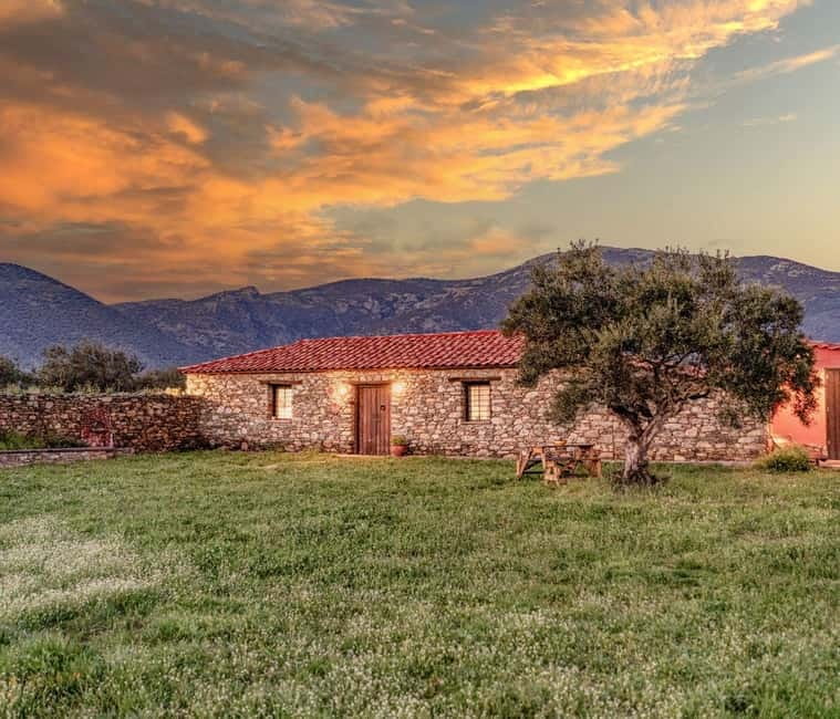 Greece in a Drop: Olive Grove Walk and Olive Oil Tasting - Key things that make this olive oil experience worth your time