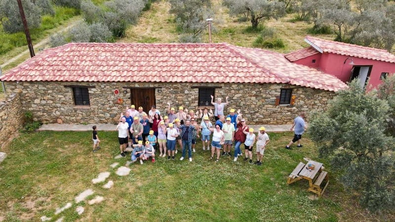Greece in a Drop: Olive Grove Walk and Olive Oil Tasting - Price and value: is $29 for this olive oil tour a good deal?