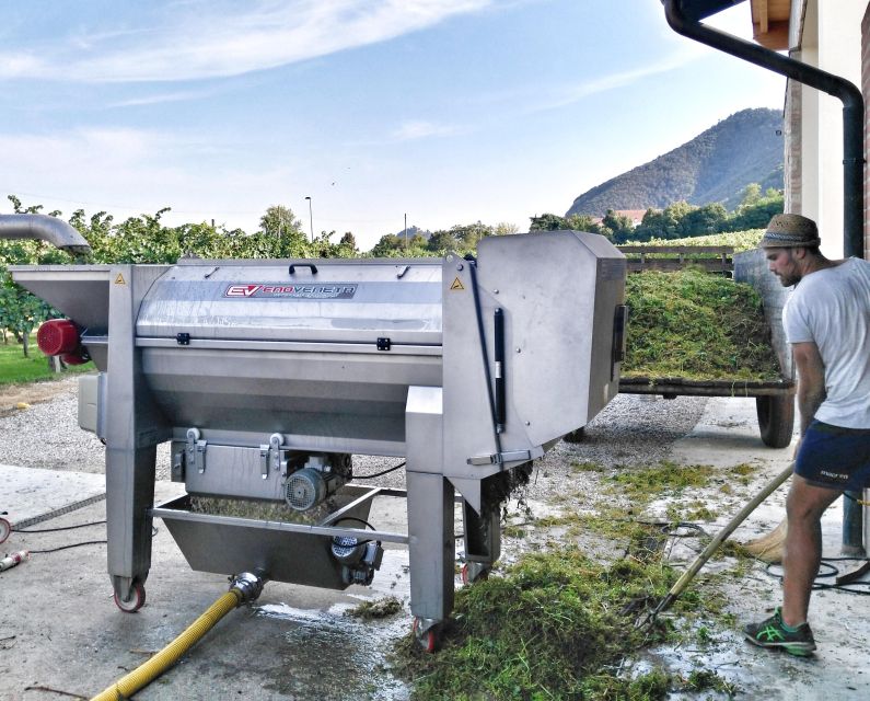 Guided Olive Oil & Wine Tour From Padua - Key things that make this Euganean Hills tour worth your time