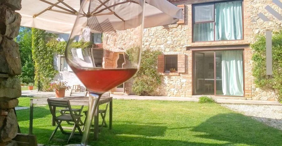 Guided Olive Oil & Wine Tour From Padua - Why the Euganean Hills are a smart day trip from Padua