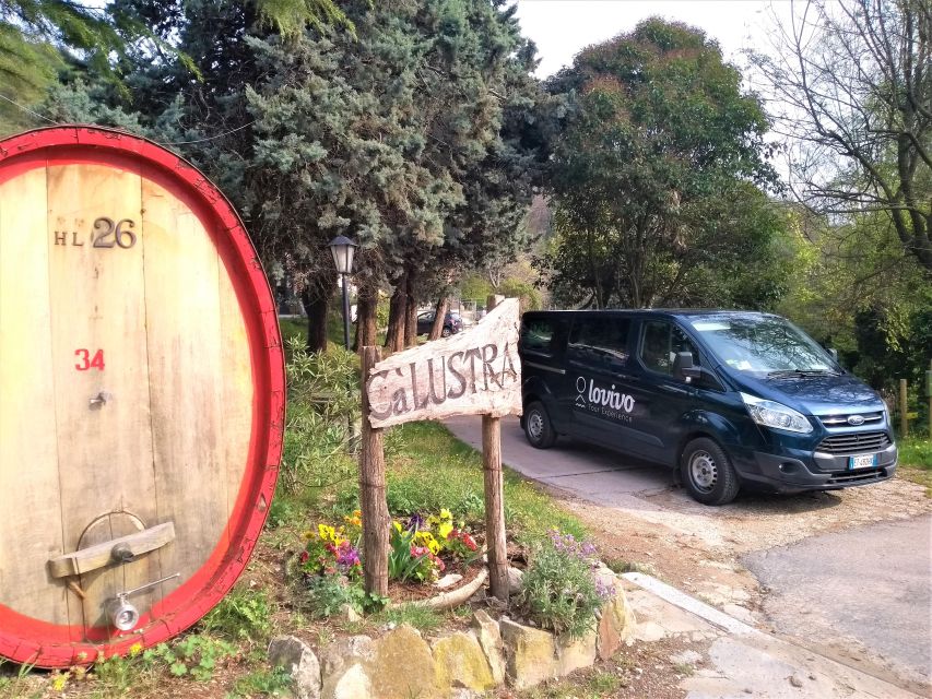 Guided Olive Oil & Wine Tour From Padua - What wines you might taste: whites first, then reds