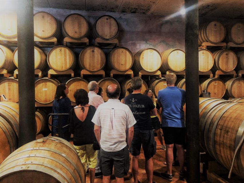 Guided Olive Oil & Wine Tour From Padua - From Padua pickup to the hills: what the logistics feel like