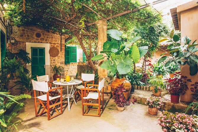Guided Tasting Tour in 16th century House and Olive Oil Factory - What Kind of Traveler Should Book This?