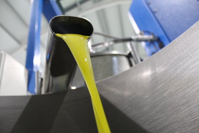 Guided tour and olive oil tasting in Alhaurin el Grande (Málaga) - Meet at Aceites Molisur in Alhaurín el Grande (Then You’re Already in the Right Place)