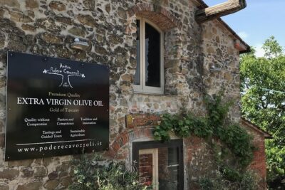 Guided tours of the olive grove with oil tasting. - The oil tasting: how to get more than just a sip