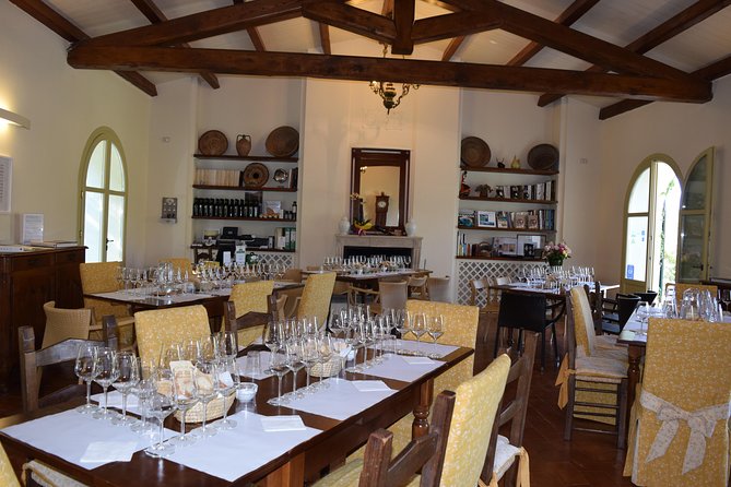 Guided Wine and Olive oil tasting - Key things to know before you go