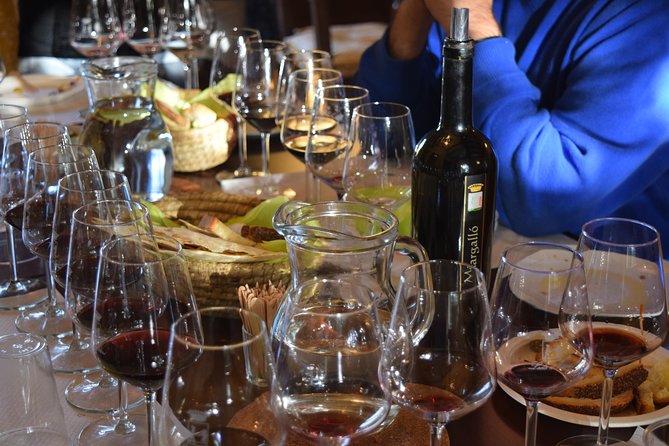 Guided Wine and Olive oil tasting - How the One-Hour Tasting Works (5 Wines, 3 Pecorinos, EVOO)