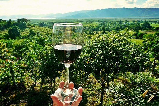 Half-Day Chianti Wine and Olive Oil Tour from Viareggio - From Viareggio To Vinci: the ride that saves your sanity