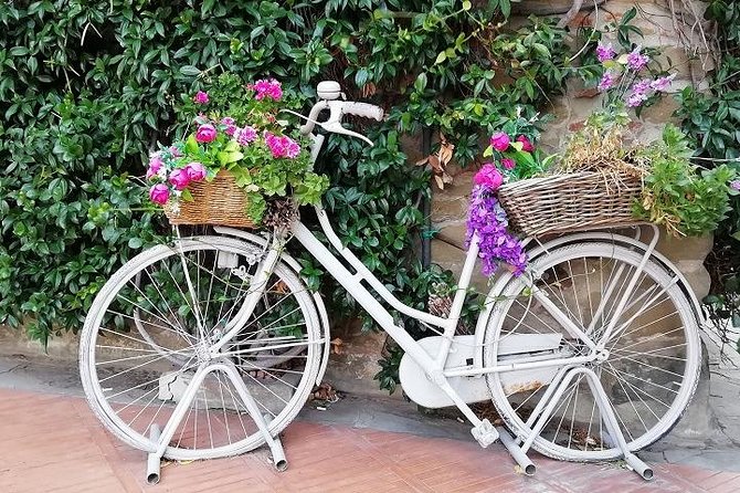 Half-Day Chianti Wine and Olive Oil Tour from Viareggio - Four wines, olive oil, and local bites: how the tasting experience feels