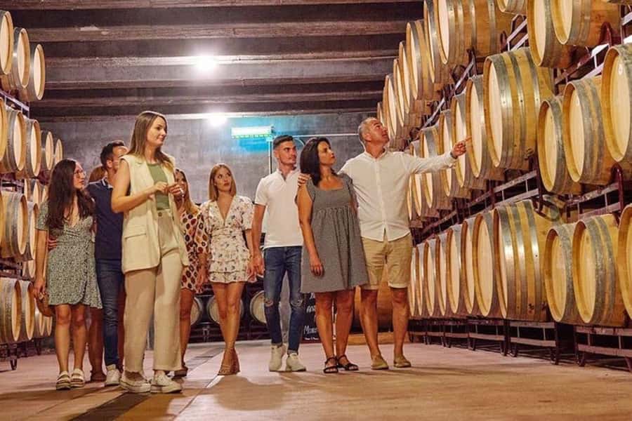 Half Day Tour of Wineries and Olive Oil from Mendoza - Key things I think are most worth your attention