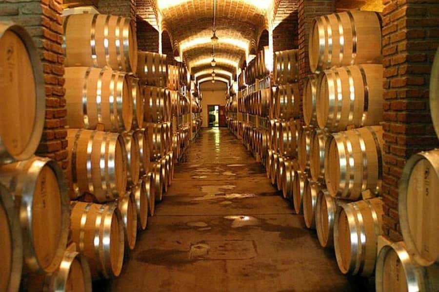 Half Day Tour of Wineries and Olive Oil from Mendoza - Getting to Maipú Without the Hassle