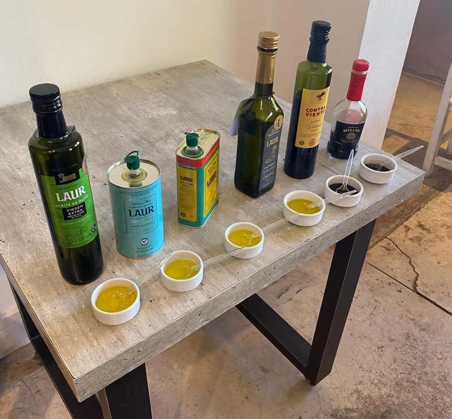 Half Day Tour of Wineries and Olive Oil from Mendoza - Timing and logistics: a 5-hour plan that stays realistic