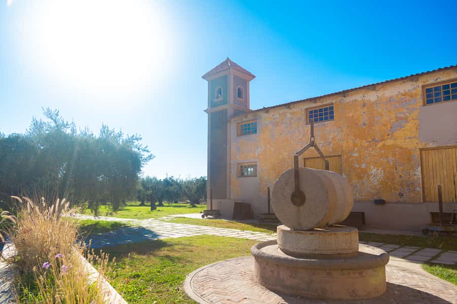 Half Day Tour of Wineries and Olive Oil from Mendoza - Quick, honest review takeaways