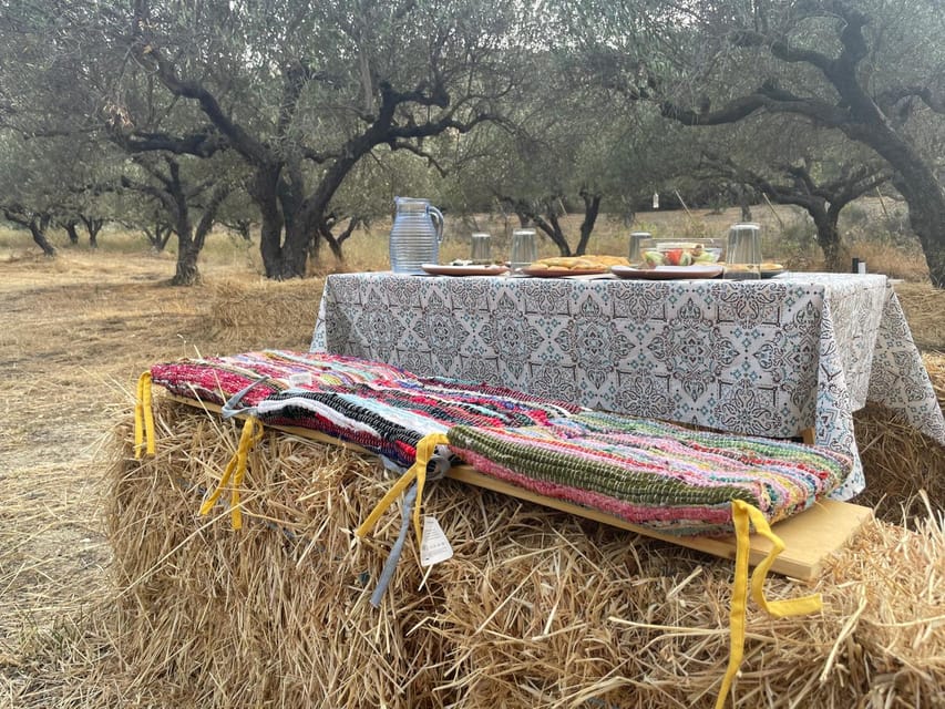 Heraklion: Cretan Farmers Brunch and Olive Grove Tour - Starting at the olive grove and dragon fruit farm: the setting you’ll remember
