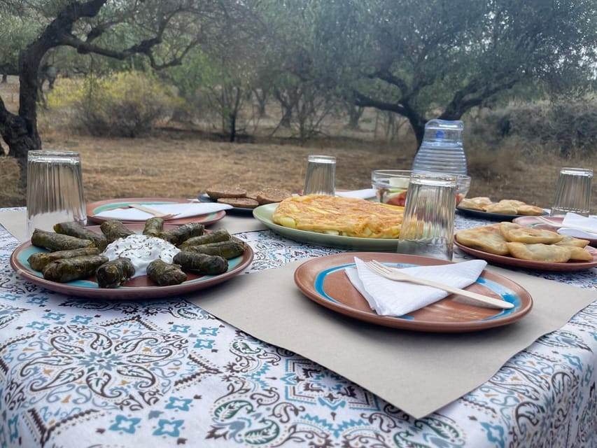 Heraklion: Cretan Farmers Brunch and Olive Grove Tour - Dragon fruit farm time: tasting the rare stuff without the hype