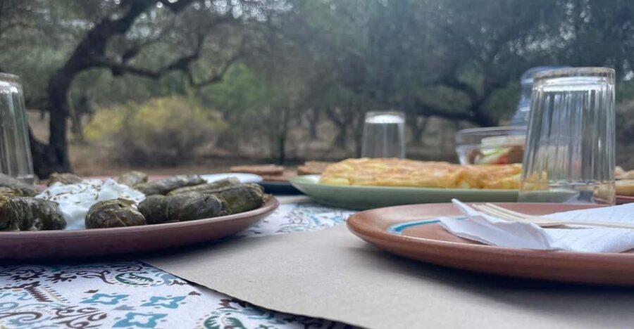 Heraklion: Cretan Farmers Brunch and Olive Grove Tour - The 90-minute flow: what happens from the gate to the last bite