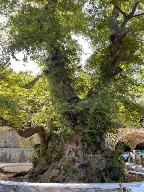 Heraklion: Knossos, Zeus, Villages & Olive Oil Factory Tour - Mochos village: narrow streets, coffee stop, and local rhythm