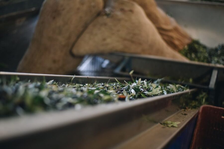 Heraklion: Olive Farm Tour with Tasting of Local Delicacies - Inside the modern olive mill: from handpicked olives to pressing