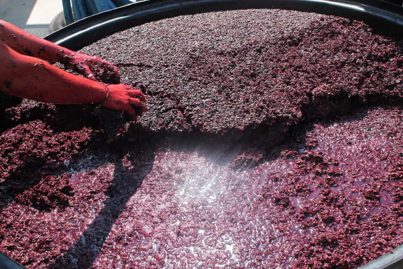 Heraklion: Olive oil and Wine Tour with Lunch - The Hidden Winemaking Stop and the 14th-Century Thread