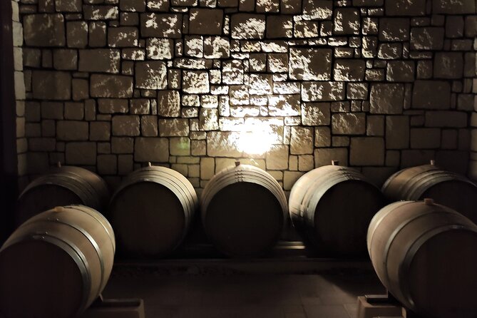 Heraklion Private Olive Oil and Wine Gastronomy tour with Lunch - Lyrarakis Winery: Six Wines and Lunch Where You Can See the Work
