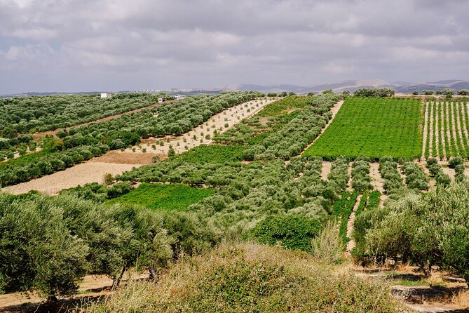 Heraklion Private Olive Oil and Wine Gastronomy tour with Lunch - Guide and Group Size: Why the Experience Feels Personal