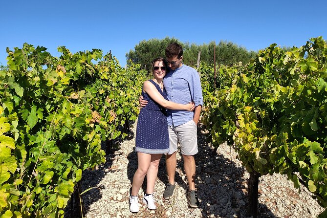 Heraklion Private Olive Oil and Wine Gastronomy tour with Lunch - Practical Tips Before You Go
