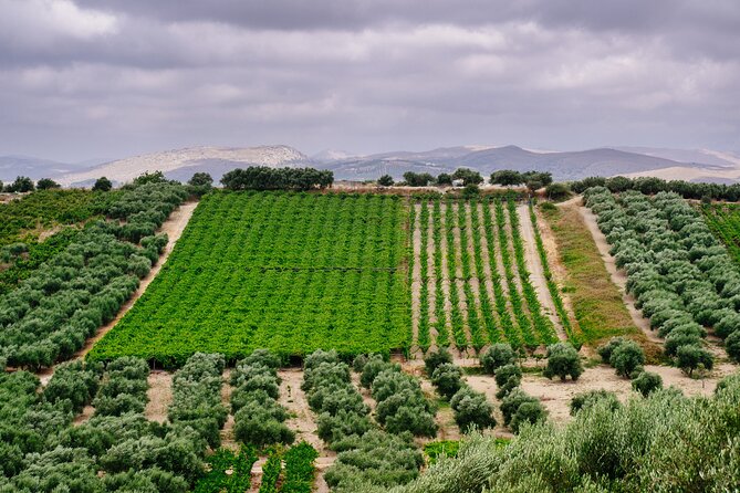 Heraklion Private Olive Oil and Wine Gastronomy tour with Lunch - Peza: The Wine County Drive Through Crete’s Inland Villages