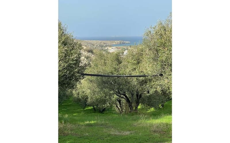 Heraklion: Sunset BBQ in the Olive Grove - Price, transfers, and how to plan your route