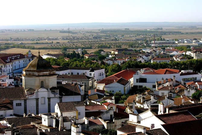 Historical Évora - PRIVATE Full Day Tour - Cork, Wine and Olive Oil Haven - Key Points I Think You’ll Care About