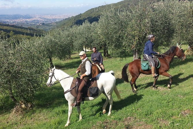 Horse ride, Olive Oil and local foods tasting in a Tuscan farm - Key points at a glance