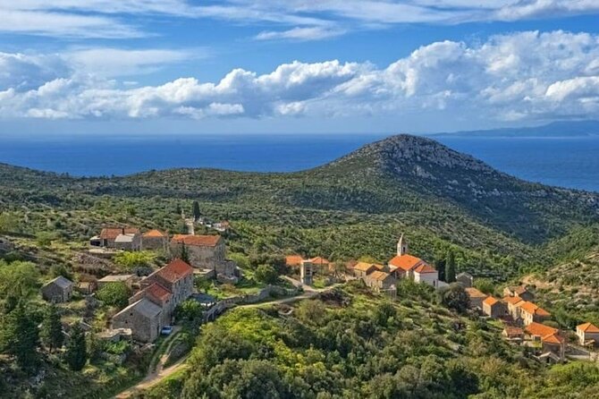 Hvar: Island tour with Wine and Olive Oil Tasting - Pickup and Van Timing: The Logistics That Actually Help