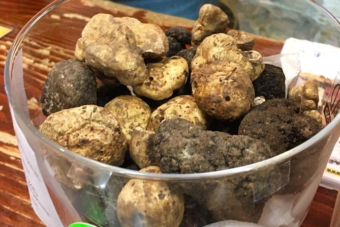 Istrian hill top cities tour with truffle and olive oil tasting - Key highlights before you go