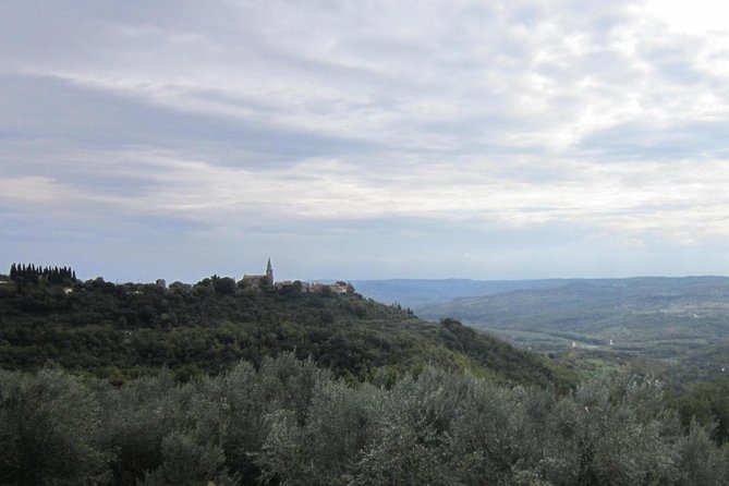 Istrian hill top cities tour with truffle and olive oil tasting - How the truffle and olive oil tasting works in practice