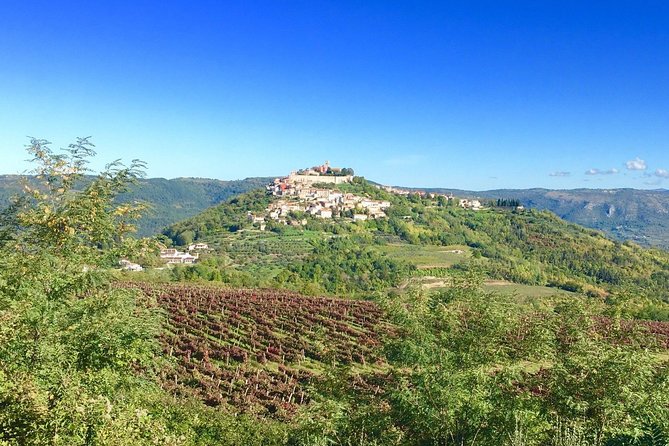 Istrian hill top cities tour with truffle and olive oil tasting - Timing, comfort, and the small-group vibe