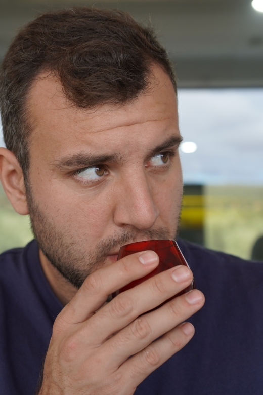 Jaén: Aires de Jaén Olive Oil Tasting Class - Key Things You’ll Notice in This Tasting Class