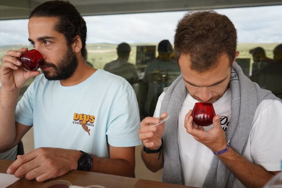 Jaén: Aires de Jaén Olive Oil Tasting Class - The Oils You’ll Taste: From Soft Samples to Temprano EVOO