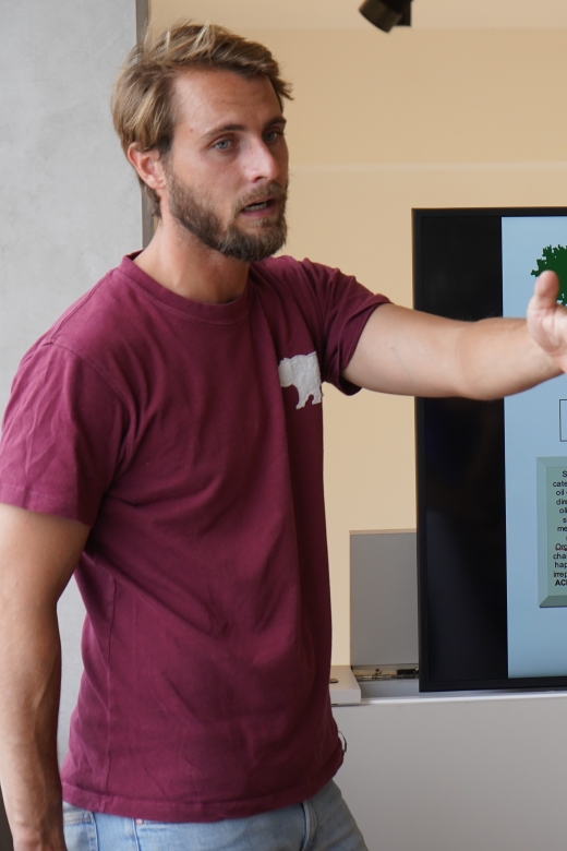 Jaén: Aires de Jaén Olive Oil Tasting Class - What Makes the Expert Guidance Worth It