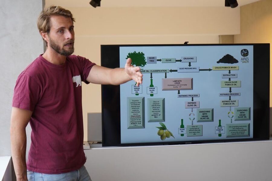 Jaén: Aires de Jaén Olive Oil Tasting Class - Who This Olive Oil Class Suits Best