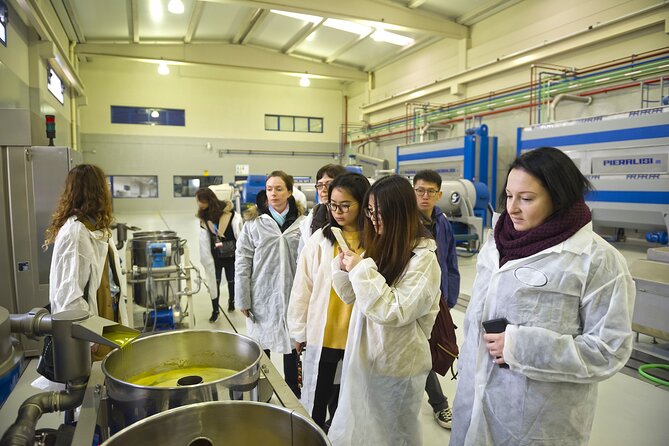 Jaén Discover the Secrets of Olive Oil: Tour & Sensory Tasting - Where it runs in Jaén: meeting point you can actually find